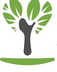 Cabinet de psihologie Meghesan Teodora